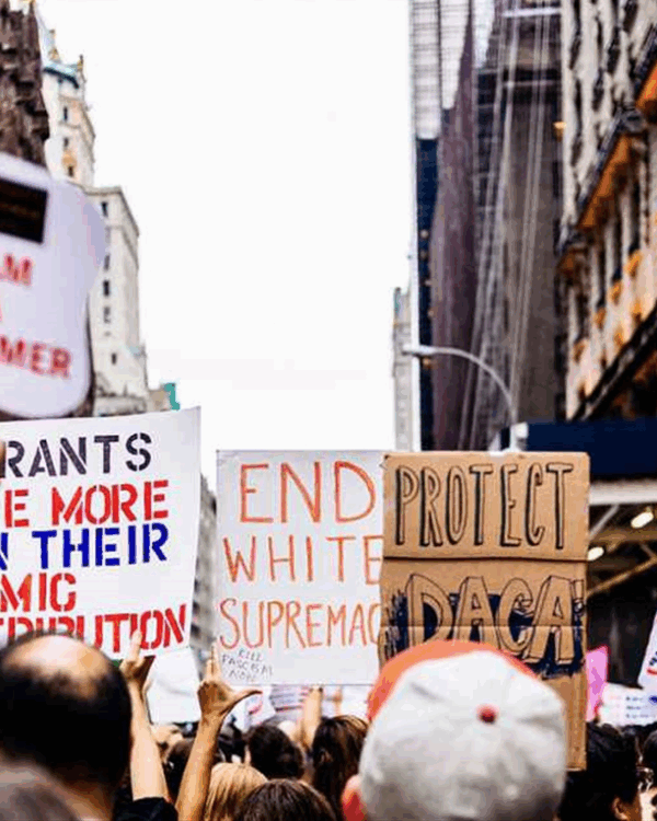 Signs promoting immigrant rights