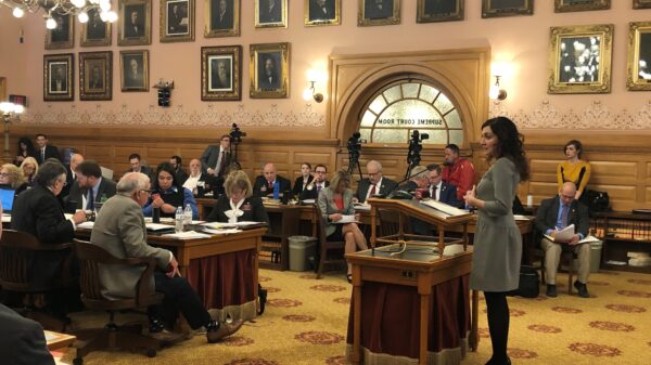 Nadine Johnson, Executive Director of ACLU of Kansas, testifying January 21, 2020