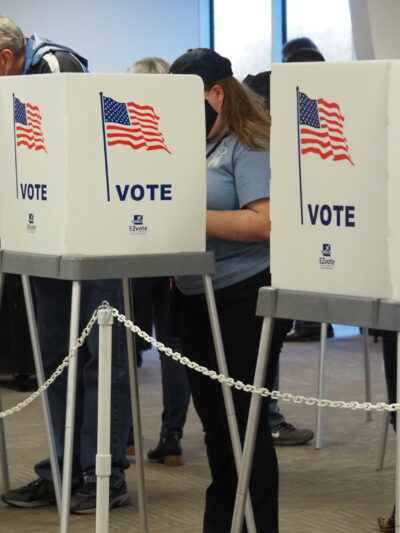 People voting in booths