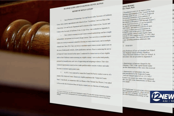 Screengrab of news video showing paper copies of expert testimony for the trial