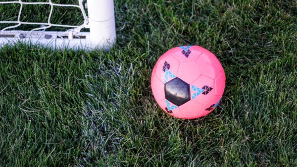 Pink soccer ball on grass