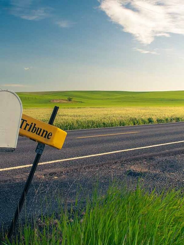 Mailboxes along a rural road