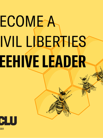 civil liberties beehive