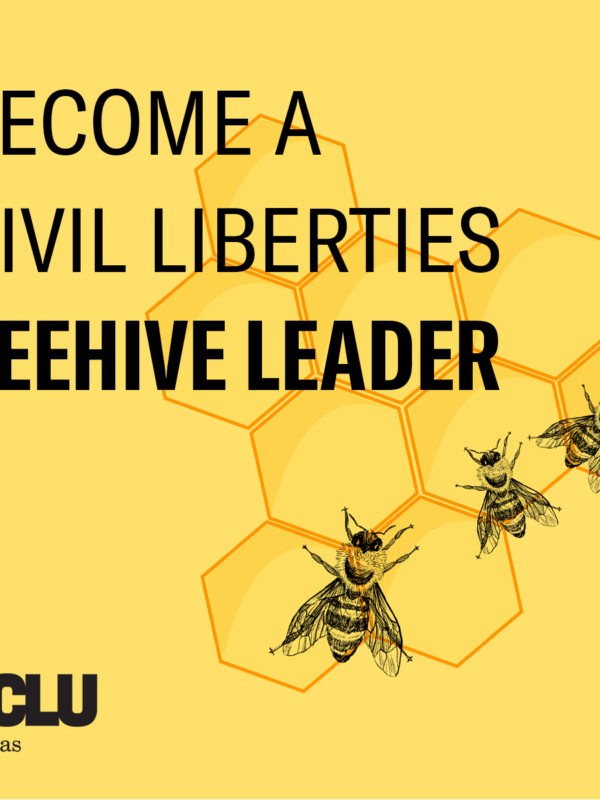 civil liberties beehive