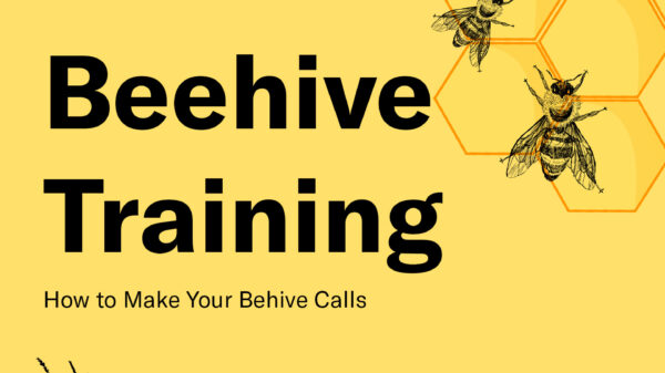 Beehive  Training How to Make Your Behive Calls