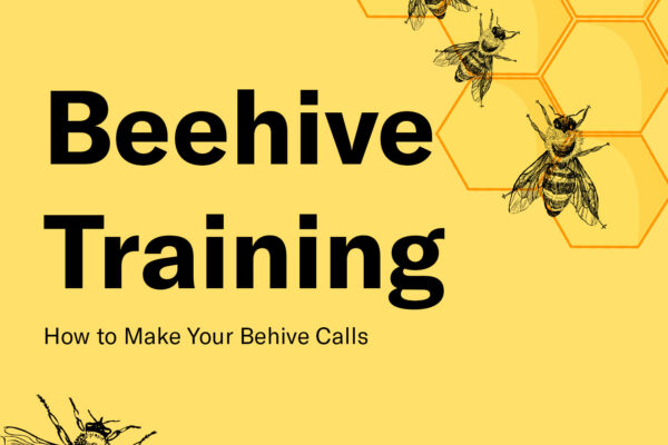 Beehive  Training How to Make Your Behive Calls