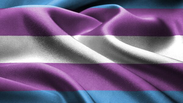 trans flag, no text
