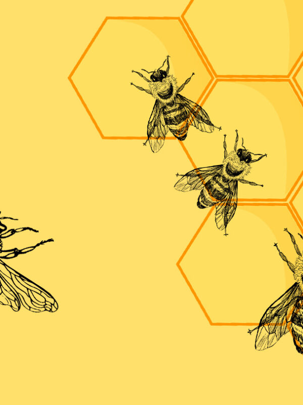 Graphics of bees and honeycomb
