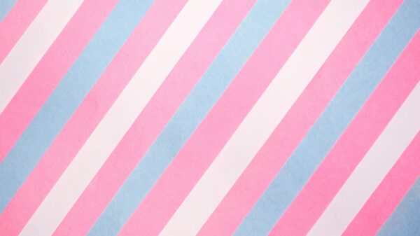 stripes showing trans pride colors