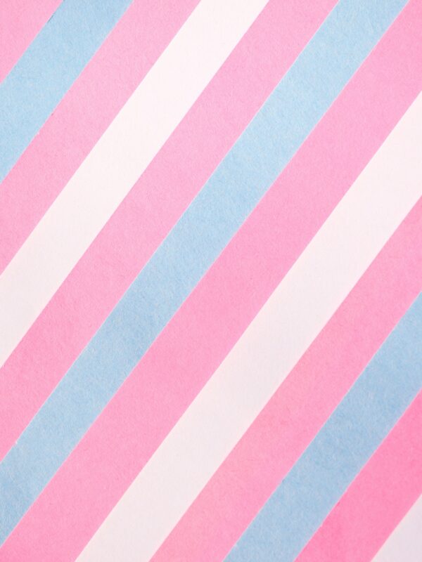 stripes showing trans pride colors