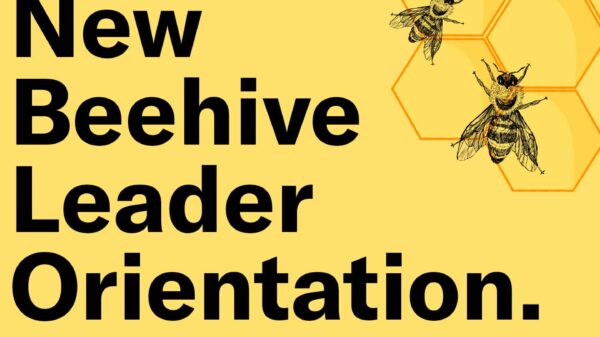 New Beehive Leader Orientation