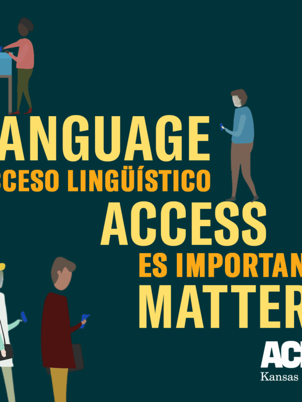 language access