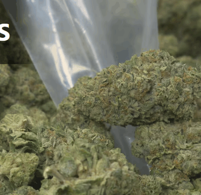 marijuana
