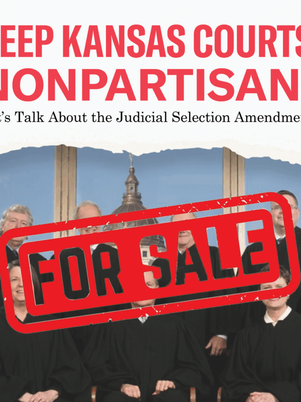 Judicial Selection Amendment