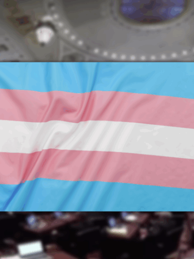 trans rights