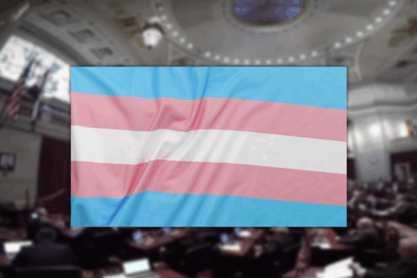 trans rights