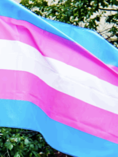 trans flag