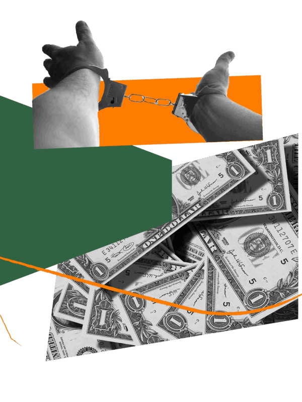 probation litigation