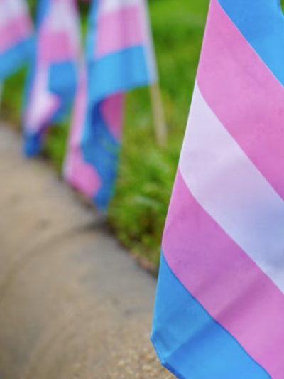 trans flag