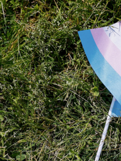 trans flag