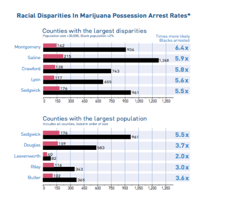 racial disparities in marijuana possession arrest rates by top county