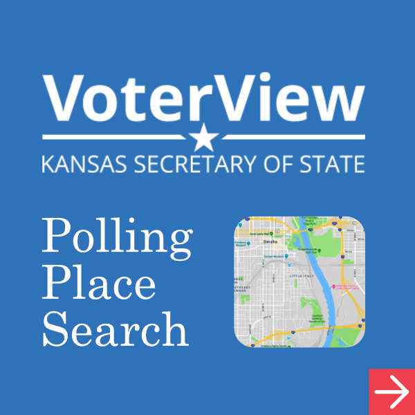 Voter View