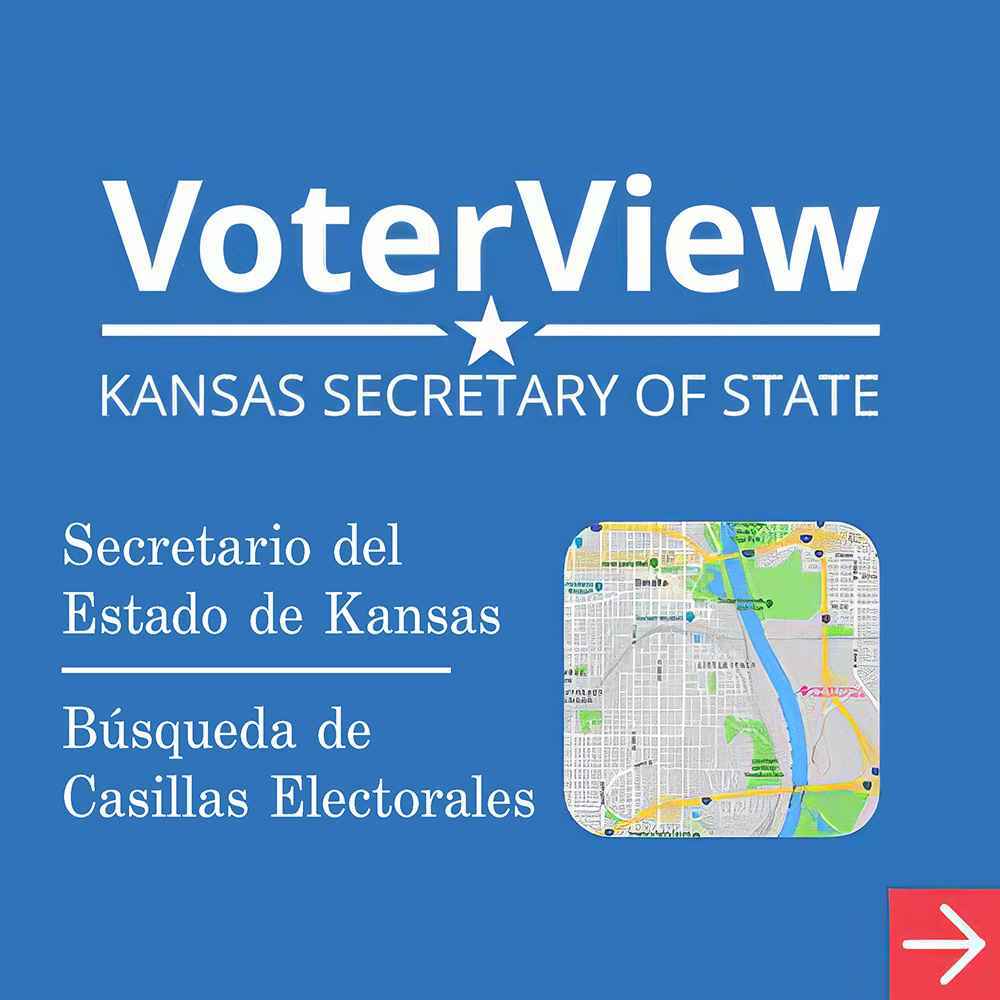 voter view
