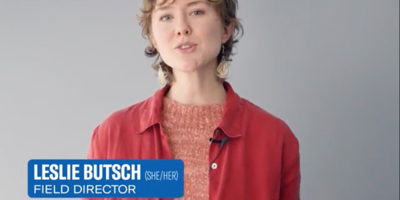 Screenshot of video