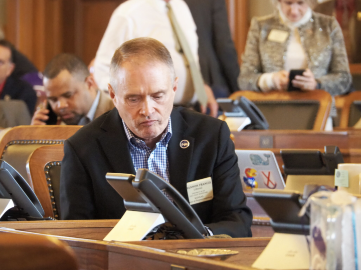 Rep. Shannon Francis, R-Liberal, and a member of the House-Senate auditing committee, made the motions to renew the process of auditing election security in Ford County and to issue a subpoena to compel cooperation of Ford County Clerk Debbie Cox. (Tim Ca