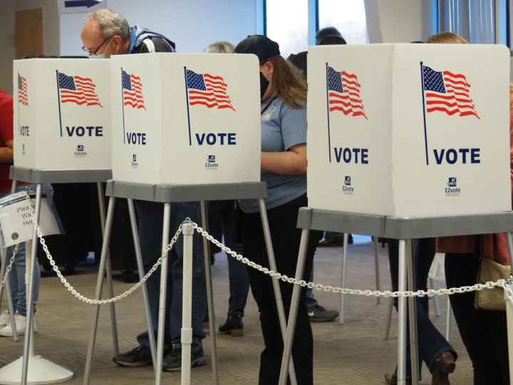 People voting in booths