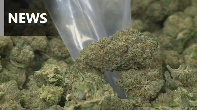 marijuana