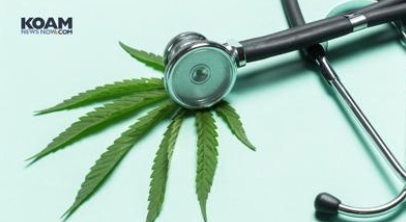 marijuana