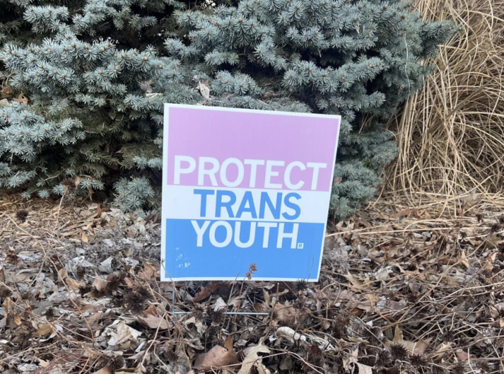 trans rights