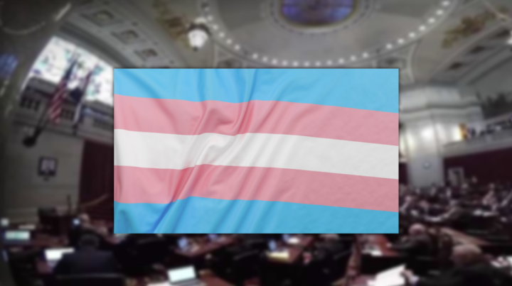 trans rights