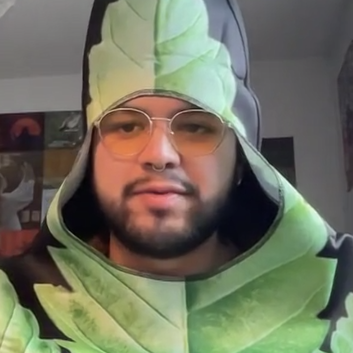 Alejandro Rangel-Lopez, in a plant-oriented costume, contributed to a panel discussion about reasons for the 2024 Legislature to consider adopting a bill legalizing medical cannabis. (Kansas Reflector screen capture from online forum hosted by Kansas Cann