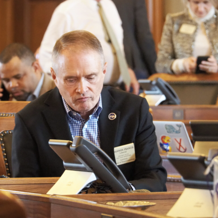 Rep. Shannon Francis, R-Liberal, and a member of the House-Senate auditing committee, made the motions to renew the process of auditing election security in Ford County and to issue a subpoena to compel cooperation of Ford County Clerk Debbie Cox. (Tim Ca