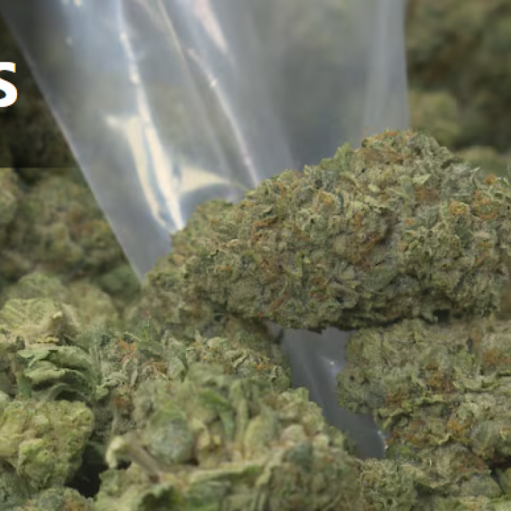 marijuana