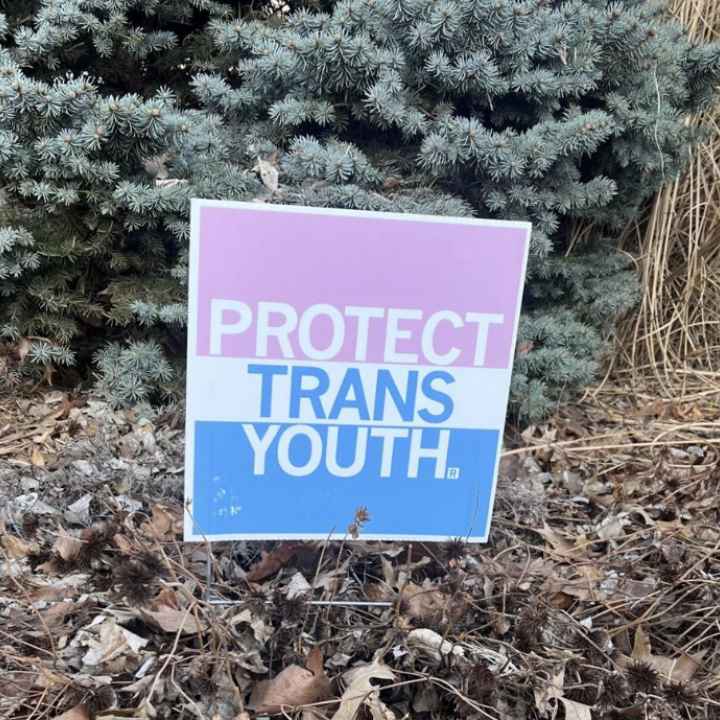 trans rights