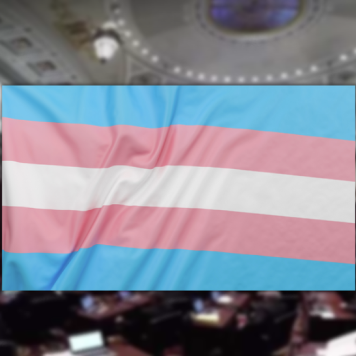 trans rights